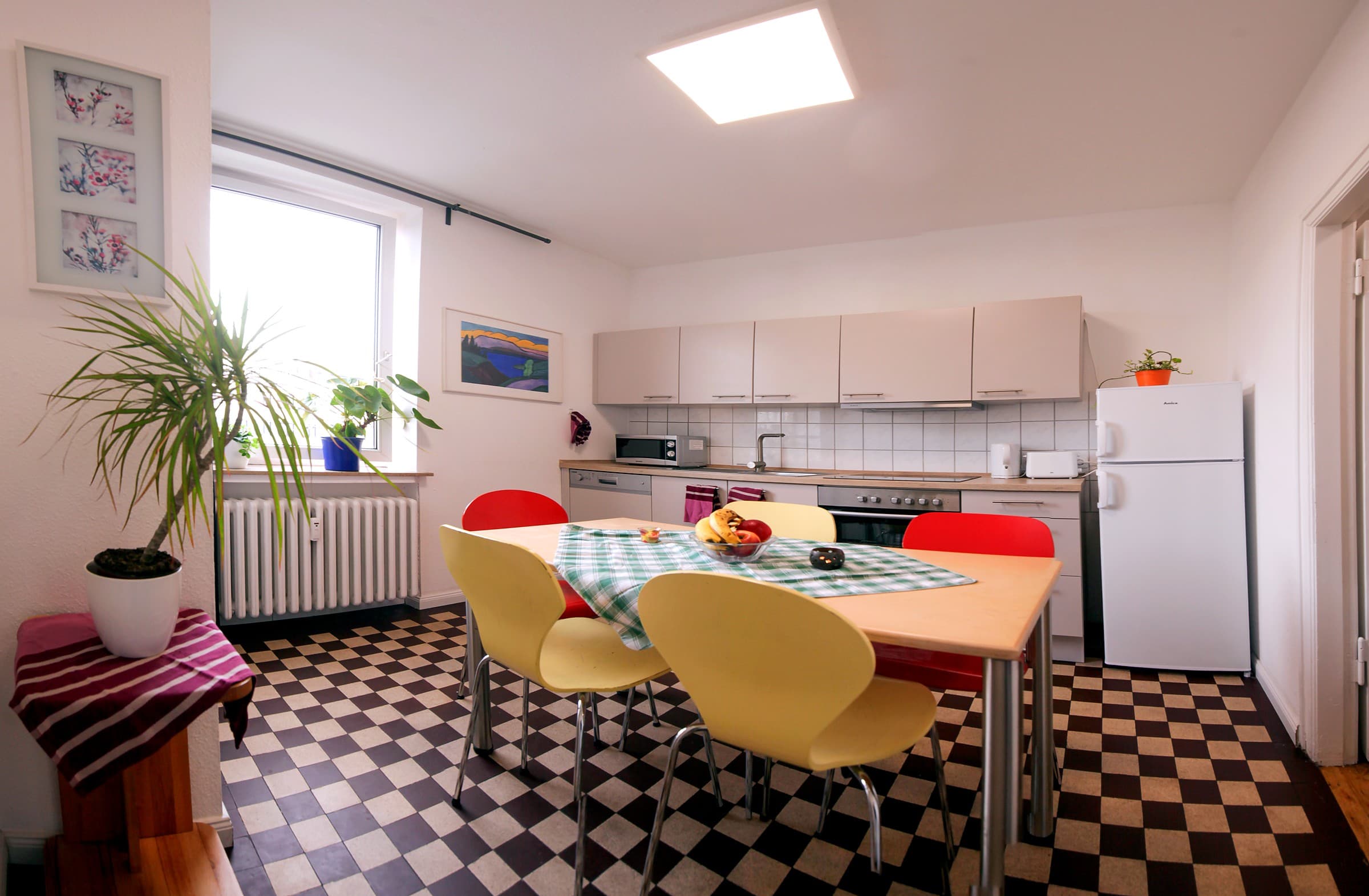 shared kitchen and dining table prepared for student routines